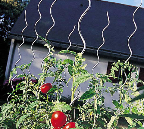 Tomatenspiraal 180 cm Tomatenspiraal 180 cm