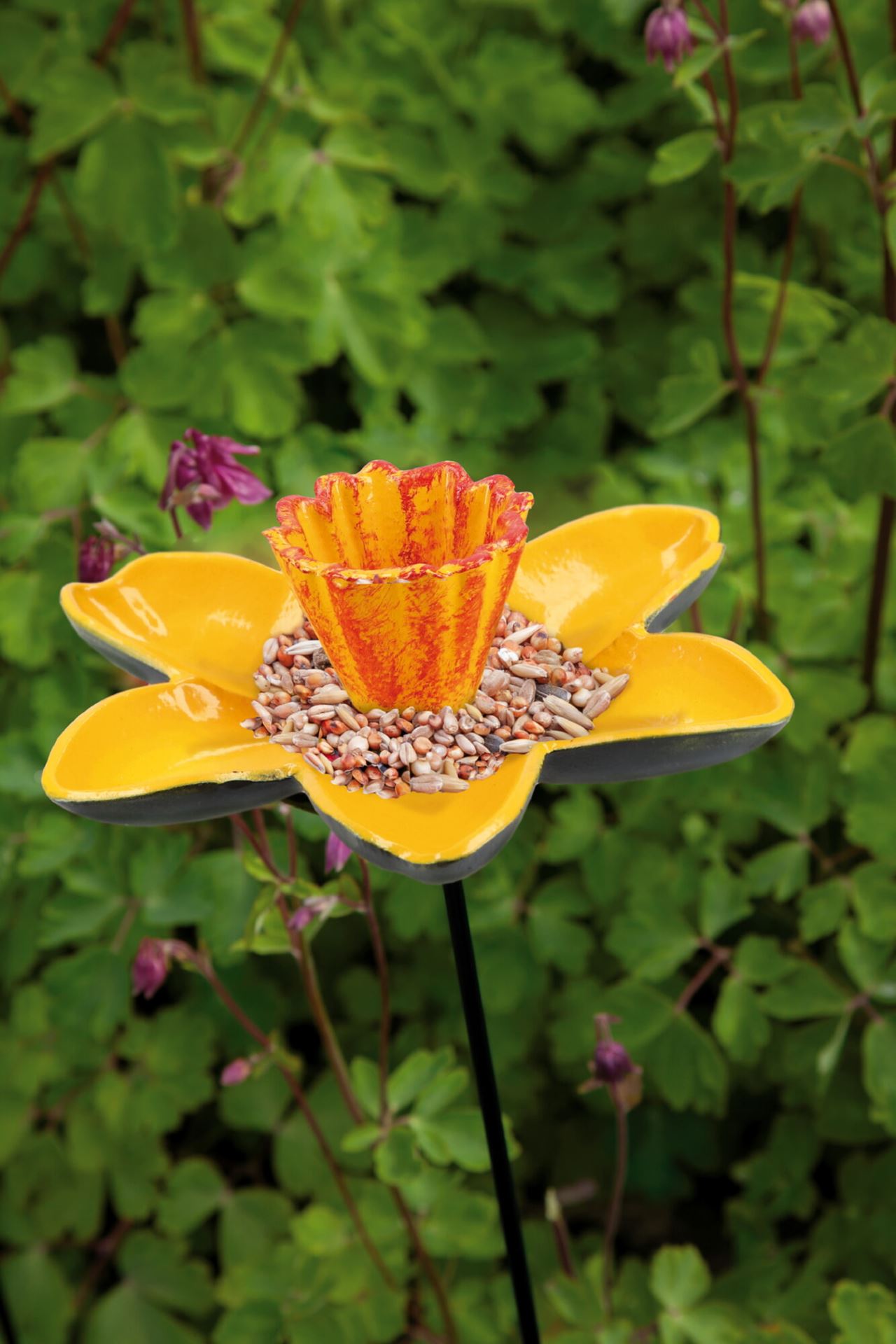 Bird Gift Feeder Zonnbloem Bird Gift Feeder Zonnbloem