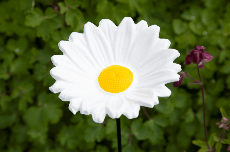 Bird Gift Feeder  Margriet