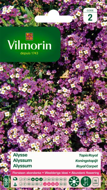 Alyssum Koningstapijt