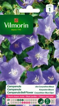 Campanula Karpaten Blauwe Campanula Karpaten Blauwe