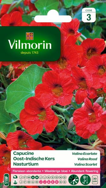 Oost-Indische Kers Valina Rood Oost-Indische Kers Valina Rood