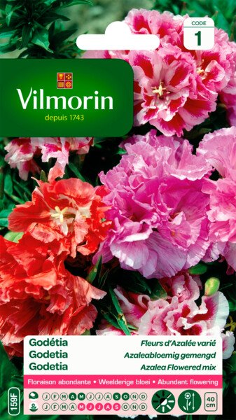 Godetia Azalea Gemengd Godetia Azalea Gemengd
