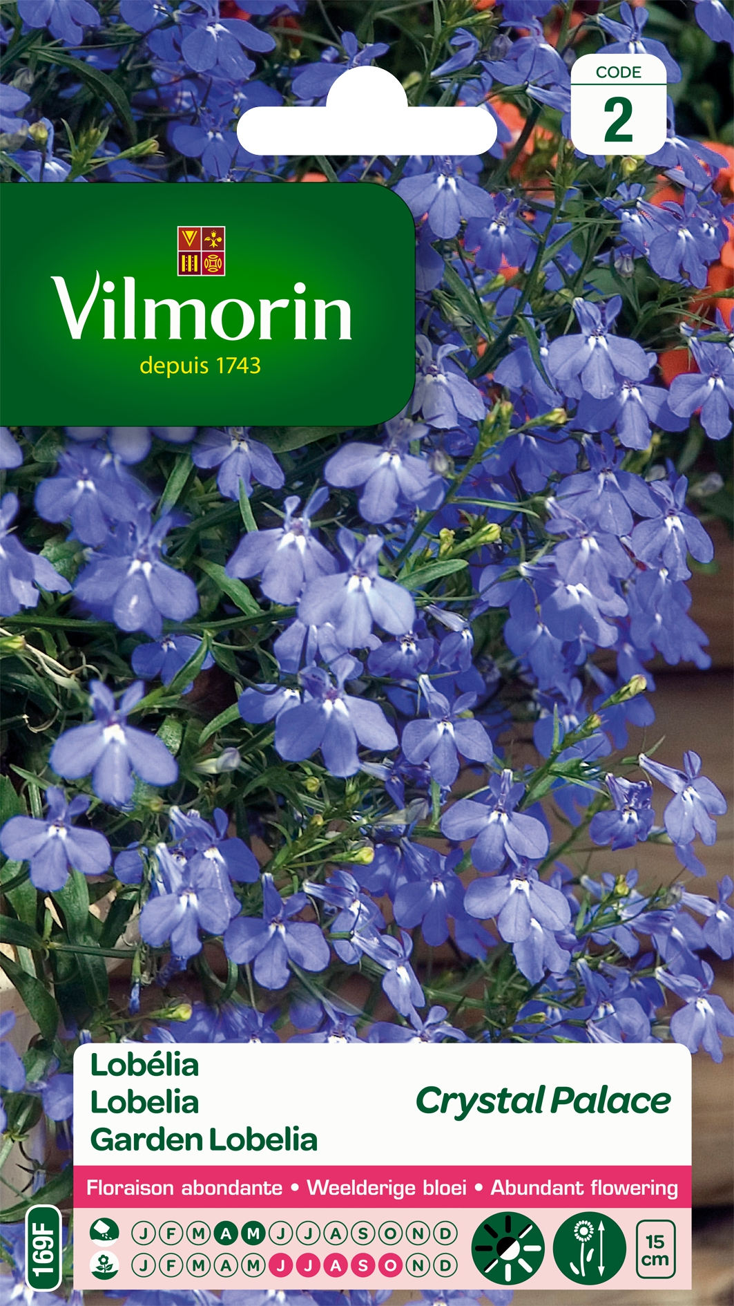Lobelia Crystal Palace Lobelia Crystal Palace