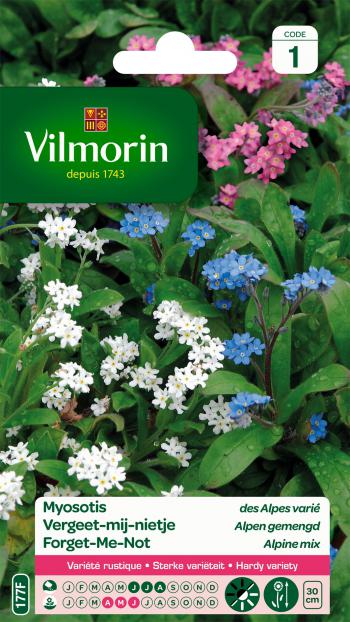 Vergeet-Mij-Nietje Alpen Gemengd Vergeet-Mij-Nietje Alpen Gemengd