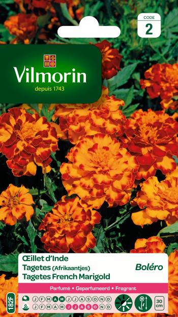 Tagetes (Afrikaantjes) Boléro Tagetes (Afrikaantjes) Boléro