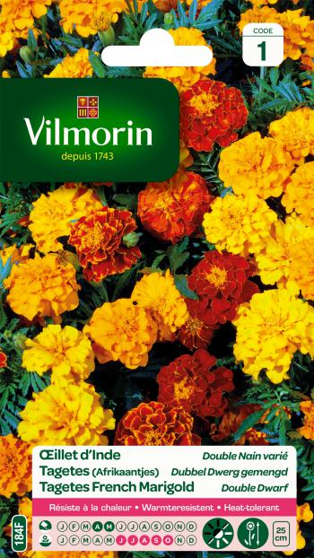 Tagetes (Afrikaantjes) Dubbel Dwerg Gemengd Tagetes (Afrikaantjes) Dubbel Dwerg Gemengd