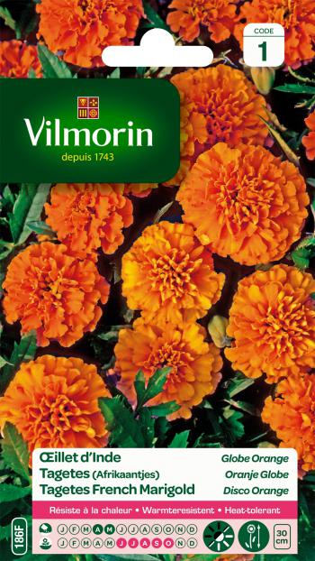 Tagetes (Afrikaantjes) Oranje Globe Tagetes (Afrikaantjes) Oranje Globe