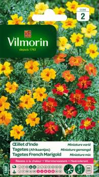 Tagetes (Afrikaantjes) Miniature Gemengd Tagetes (Afrikaantjes) Miniature Gemengd