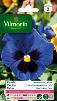 Viooltje Grootbloemig meer van Thun Viooltje Grootbloemig meer van Thun