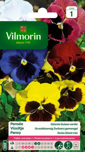 Viooltje Zwitserse Reuzen Gemengd Viooltje Zwitserse Reuzen Gemengd