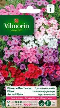 Phlox Grootbloemig Gemengd Phlox Grootbloemig Gemengd