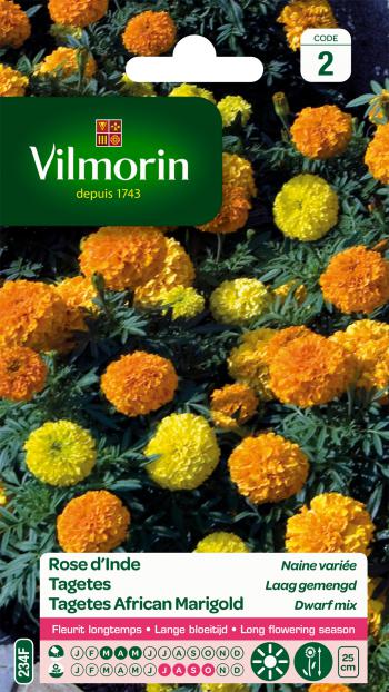 Tagetes (Afrikaantjes) Laag Gemengd Tagetes (Afrikaantjes) Laag Gemengd