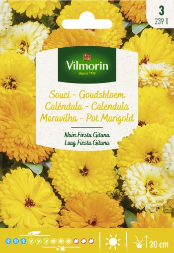 Goudsbloem Laag Fiesta Gitana Goudsbloem Laag Fiesta Gitana