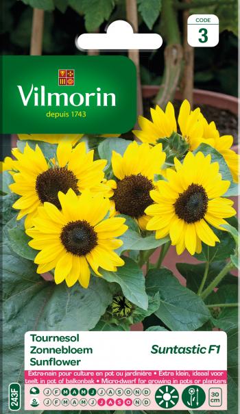 Zonnebloem Suntastic F1 Zonnebloem Suntastic F1