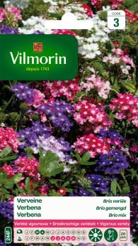 Verbena Brio Gemengd Verbena Brio Gemengd