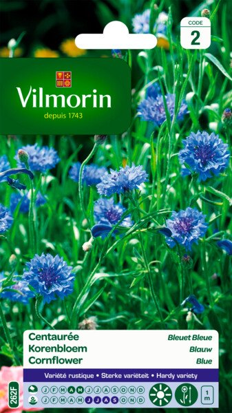 Korenbloem Blauwe Korenbloem Blauwe