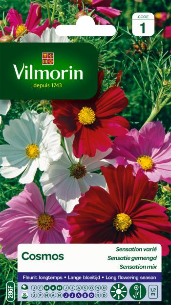 Cosmos Sensatie Gemengd Cosmos Sensatie Gemengd
