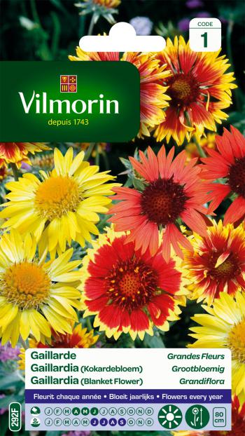Gaillardia Grootbloemig Gaillardia Grootbloemig