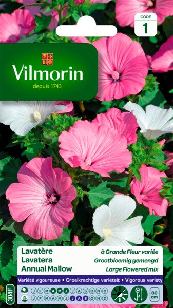 Lavatera Grootbloemig Gemengd Lavatera Grootbloemig Gemengd
