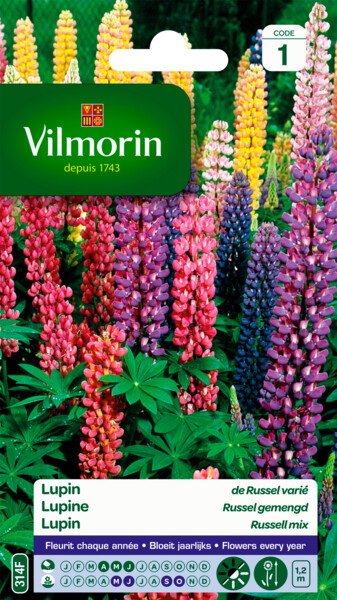 Lupine Russel Gemengd