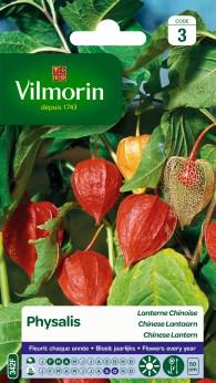 Physalis Chinese Lantaarn Physalis Chinese Lantaarn