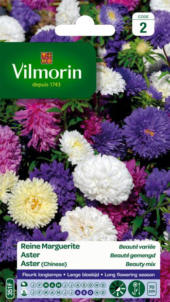 Aster Beauté Gemengd