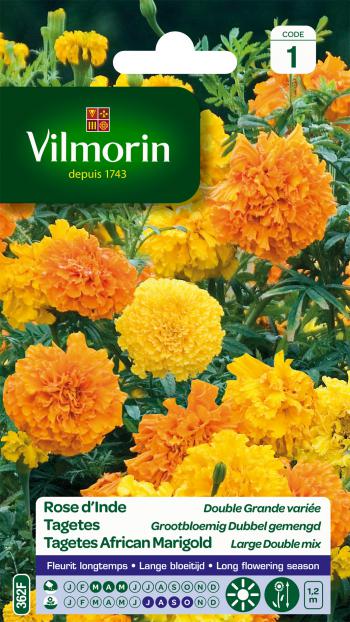 Tagetes Grootbloemig Dubbel Gemengd Tagetes Grootbloemig Dubbel Gemengd