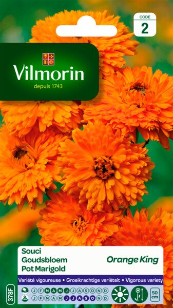 Goudsbloem Orange King 
