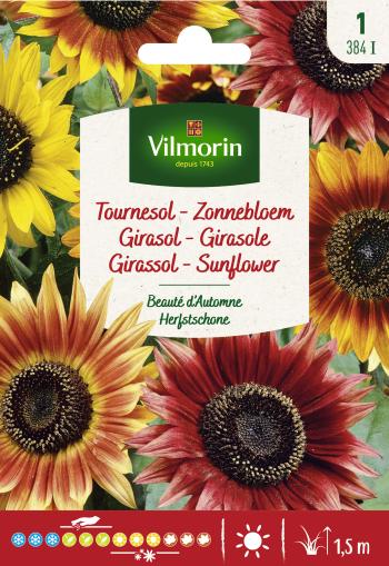 Zonnebloem herfstzonnebloem Zonnebloem herfstzonnebloem