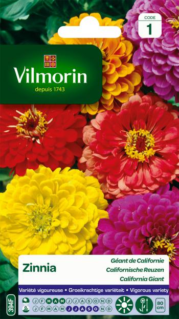 Zinnia Californische Reuzen Zinnia Californische Reuzen