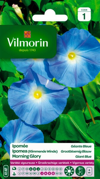 Ipomea Blauwe Grootbloemige