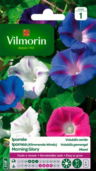 Ipomea Volubilis Gemengd Ipomea Volubilis Gemengd