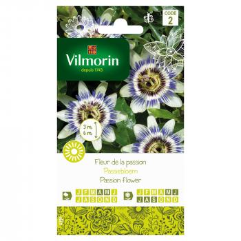 Passiebloem Passiebloem
