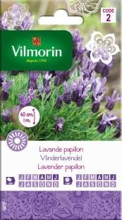Vlinderlavendel Vlinderlavendel