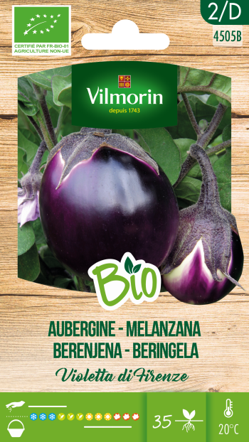 Aubergine Violetta Di Firenze BIO Aubergine Violetta Di Firenze BIO