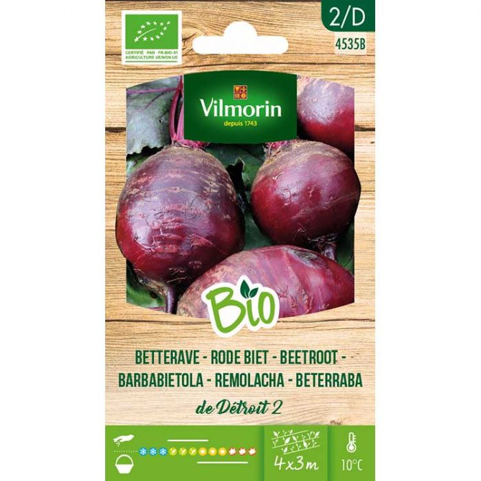 Rode biet Détroit 2 BIO Rode biet Détroit 2 BIO