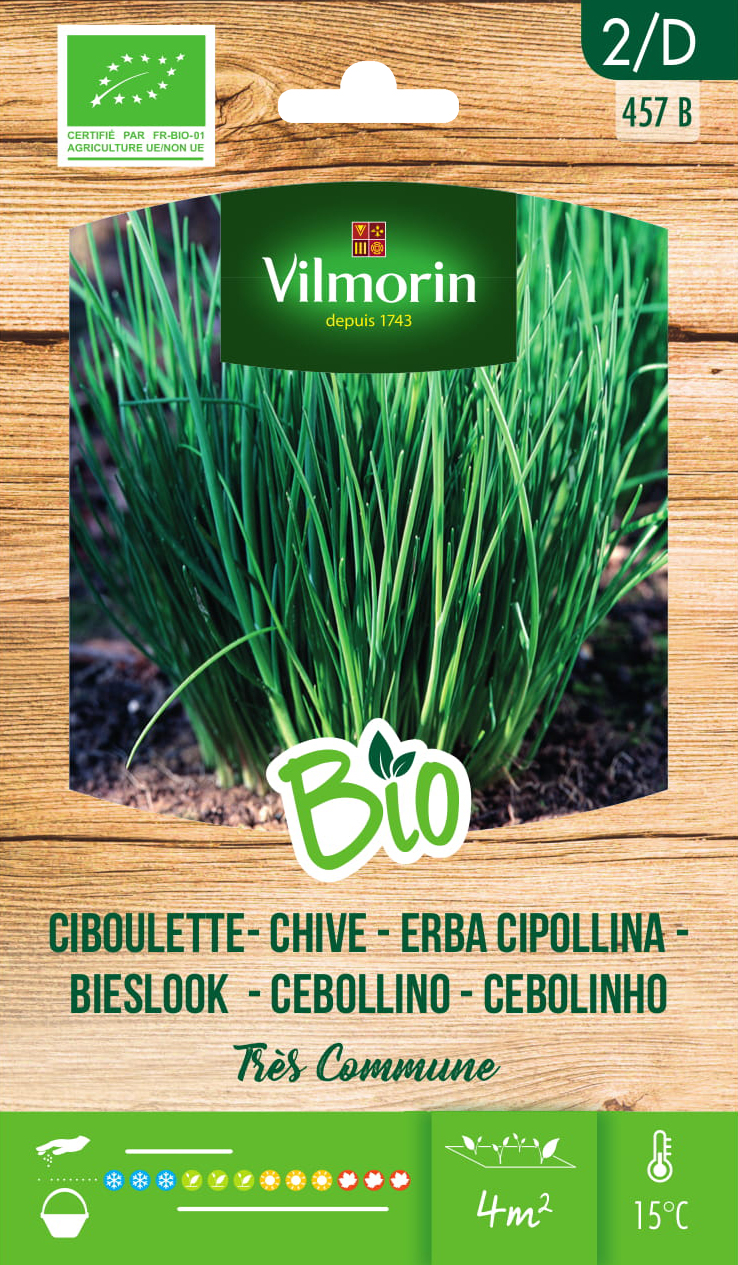 Bieslook Très commune BIO