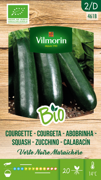 Courgette Verte noire maraîchère BIO