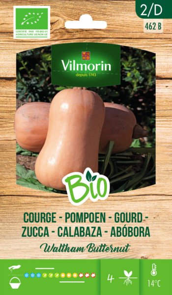 Pompoen Waltham Butternut BIO