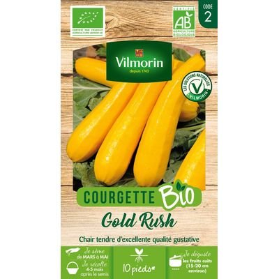 Courgette Gold Rush BIO Courgette Gold Rush BIO