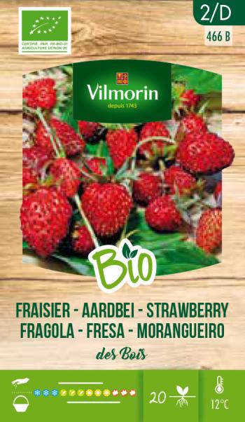 Bosaardbei BIO