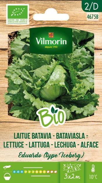 Bataviasla Eduardo (Type Iceberg) BIO Bataviasla Eduardo (Type Iceberg) BIO