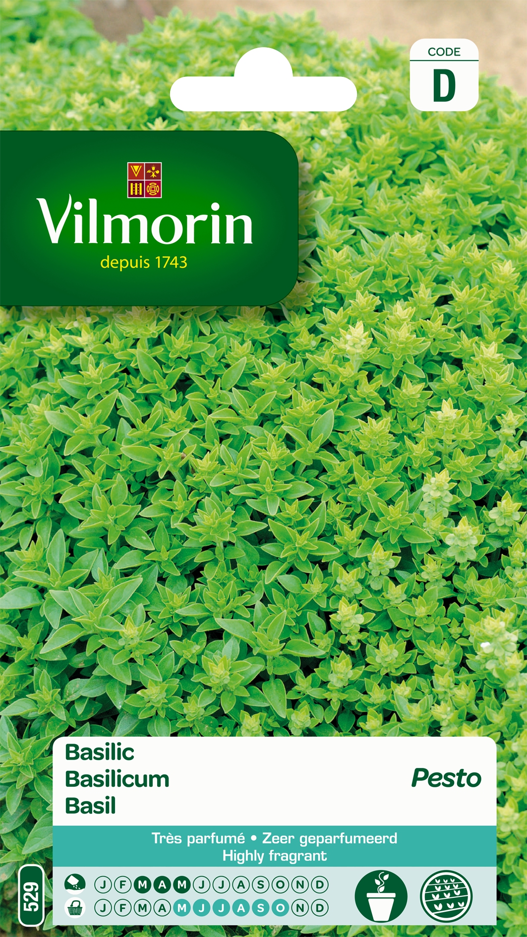 Basilicum Pesto