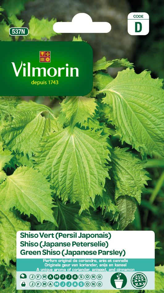 Shiso Japanse peterselie Shiso Japanse peterselie