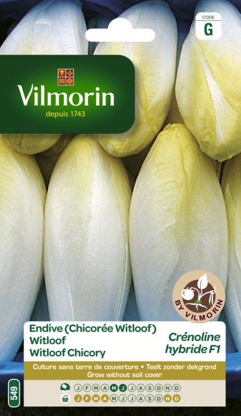 Witloof Crenoline Hf1 15g Witloof Crenoline Hf1 15g