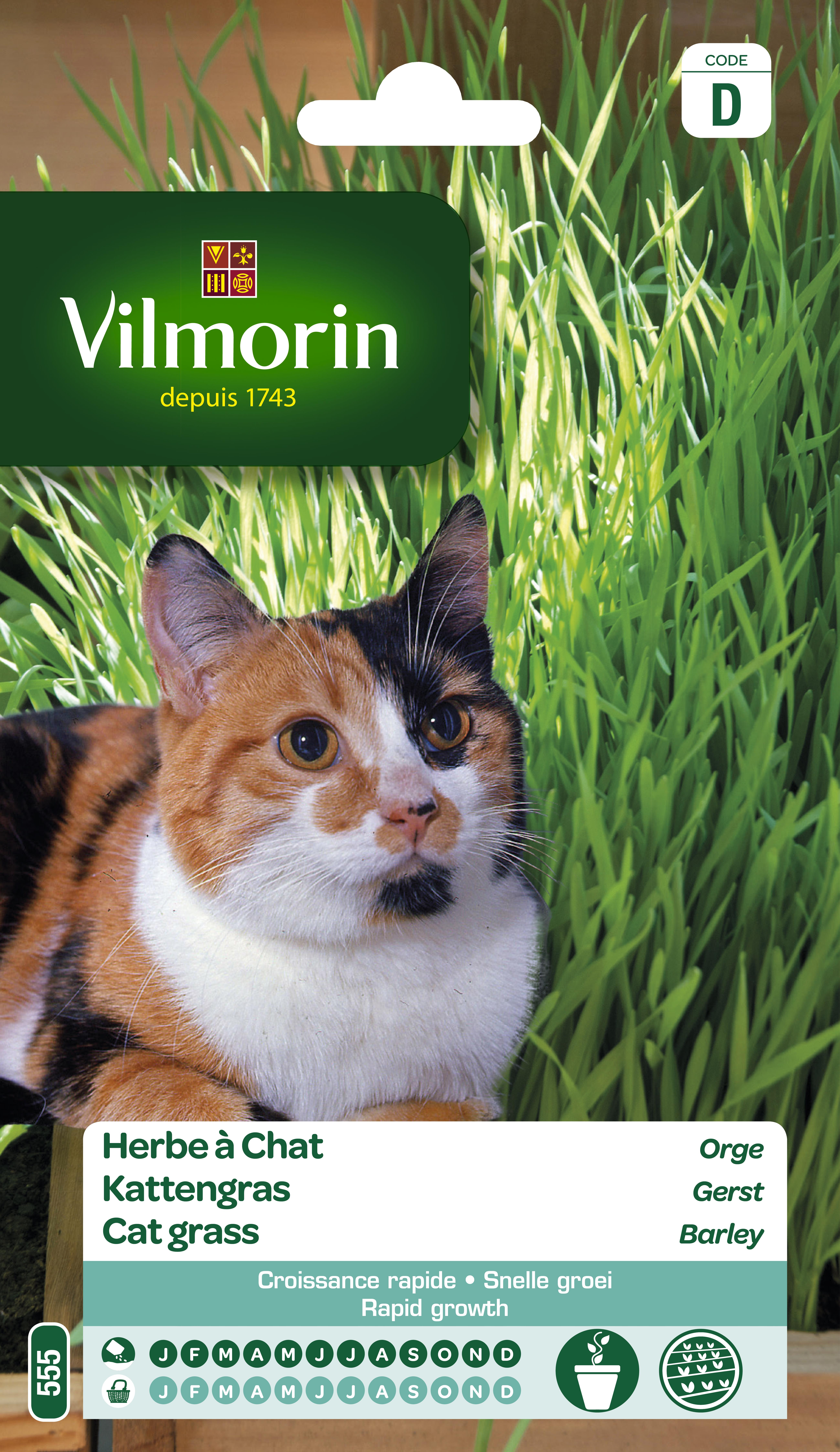 Kattengras Gerst 50g Kattengras Gerst 50g