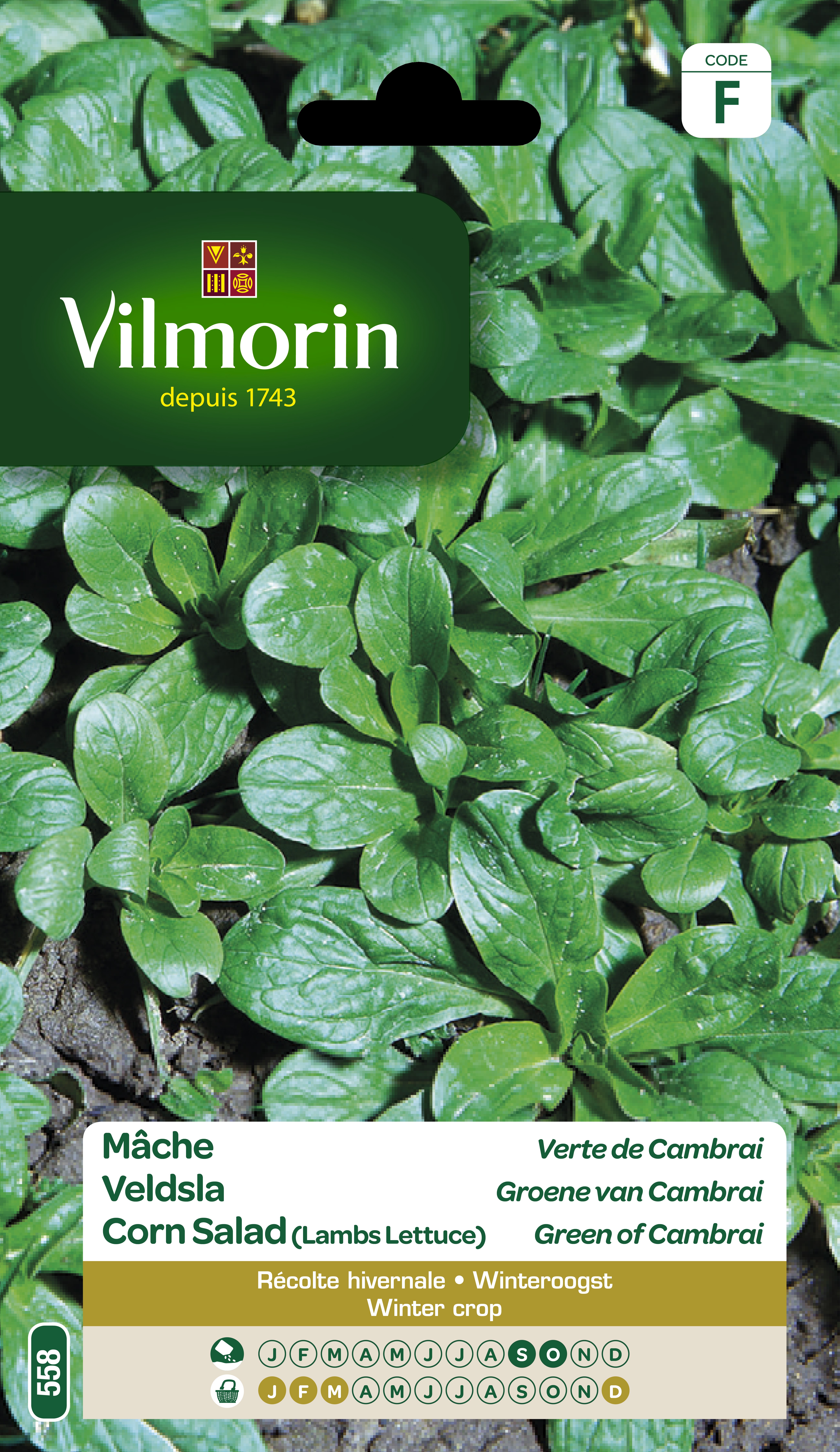 Veldsla Groene Van Cambrai 15g Veldsla Groene Van Cambrai 15g
