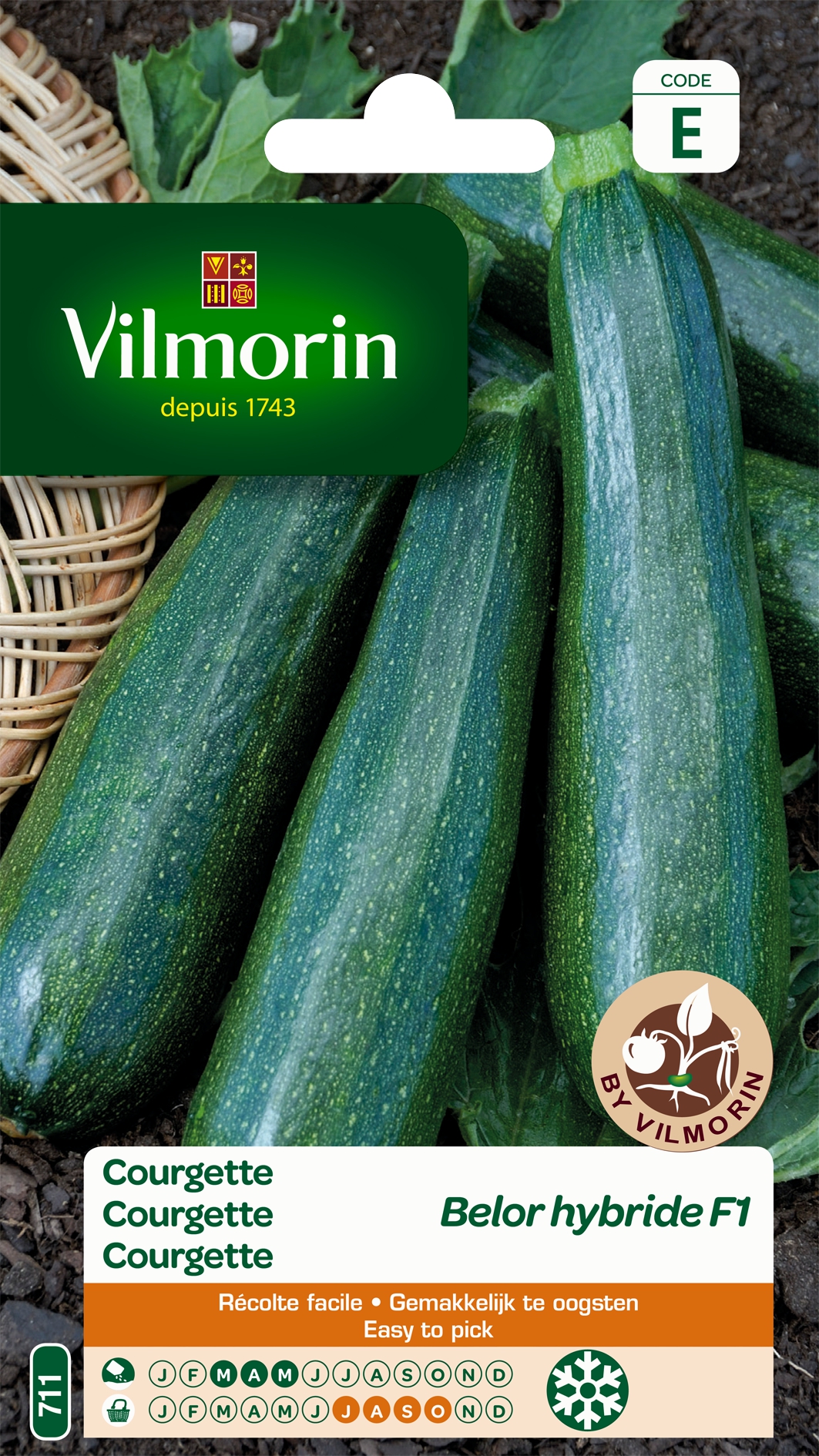 Courgette Bélor HF1 Courgette Bélor HF1