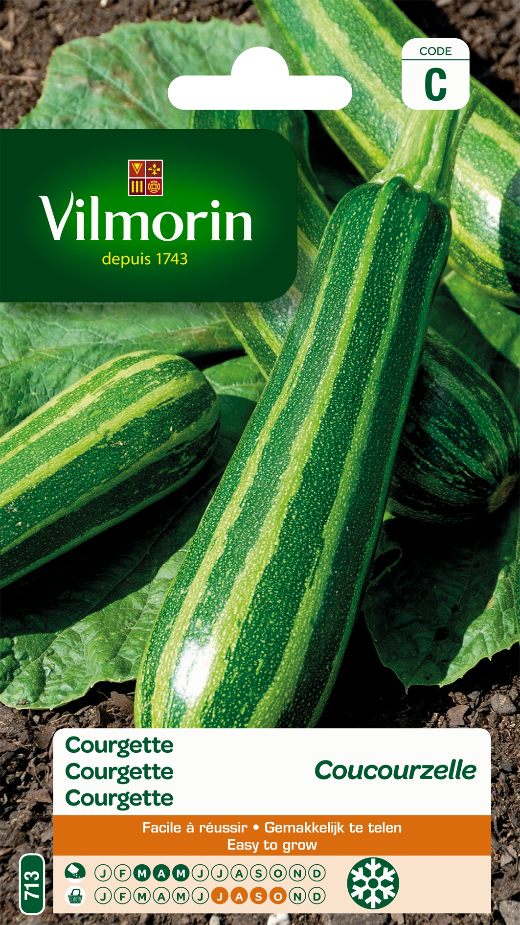 Courgette Coucourzelle Courgette Coucourzelle